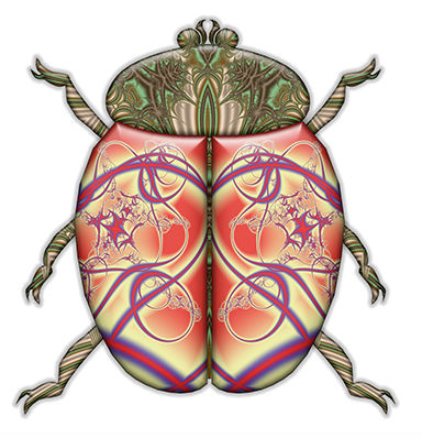 Dorset Creatures Ladybug