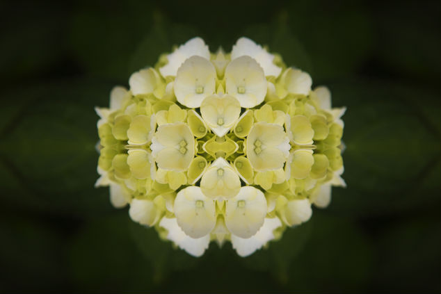 symmetry