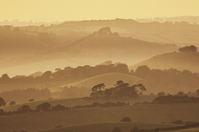 Dorset landscape